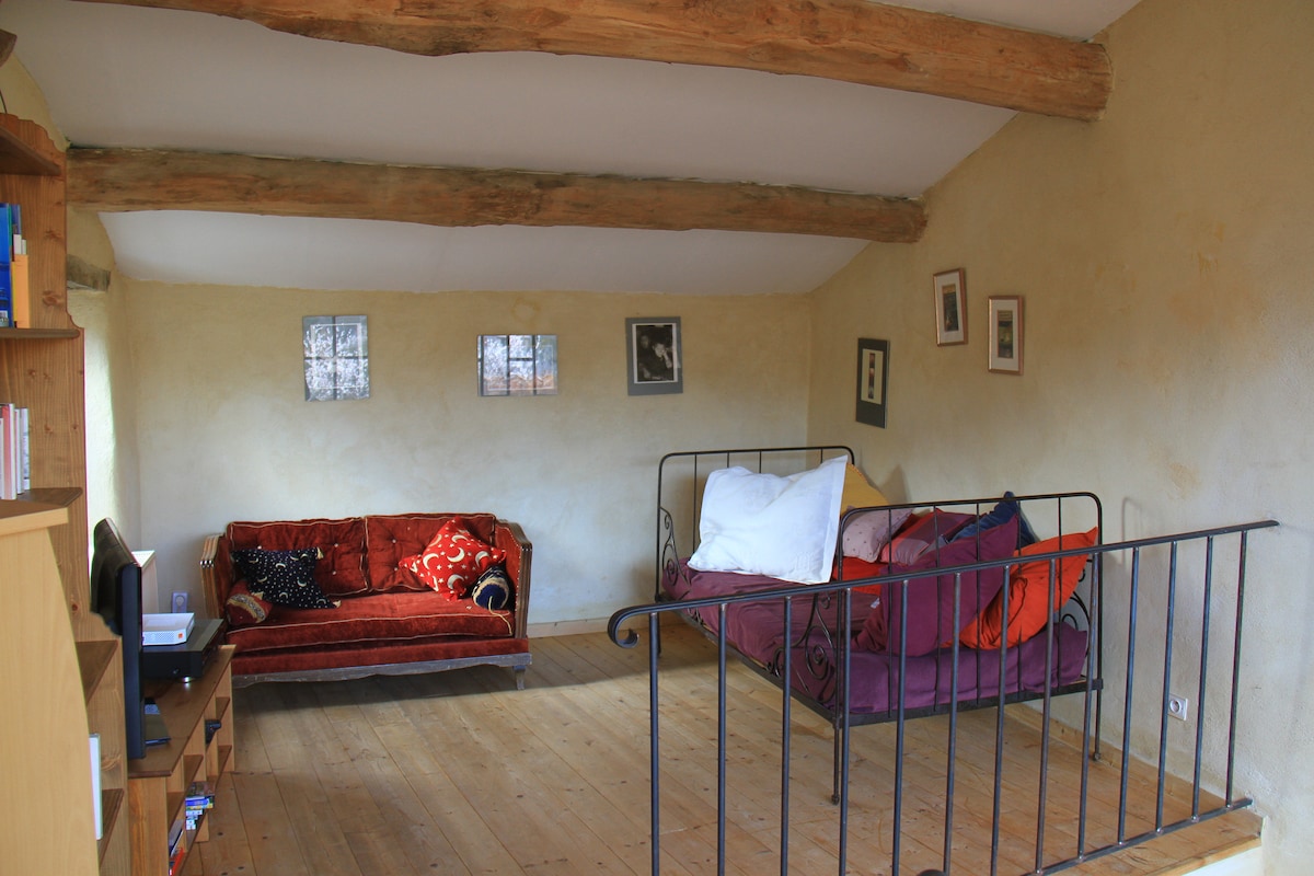 Successful Airbnb property: The Blue Salamander in Diocèse De Valence