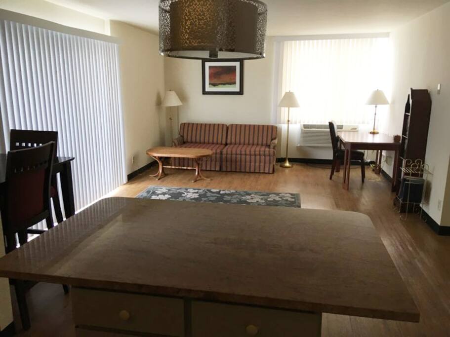 Living Room with Sofa Bed