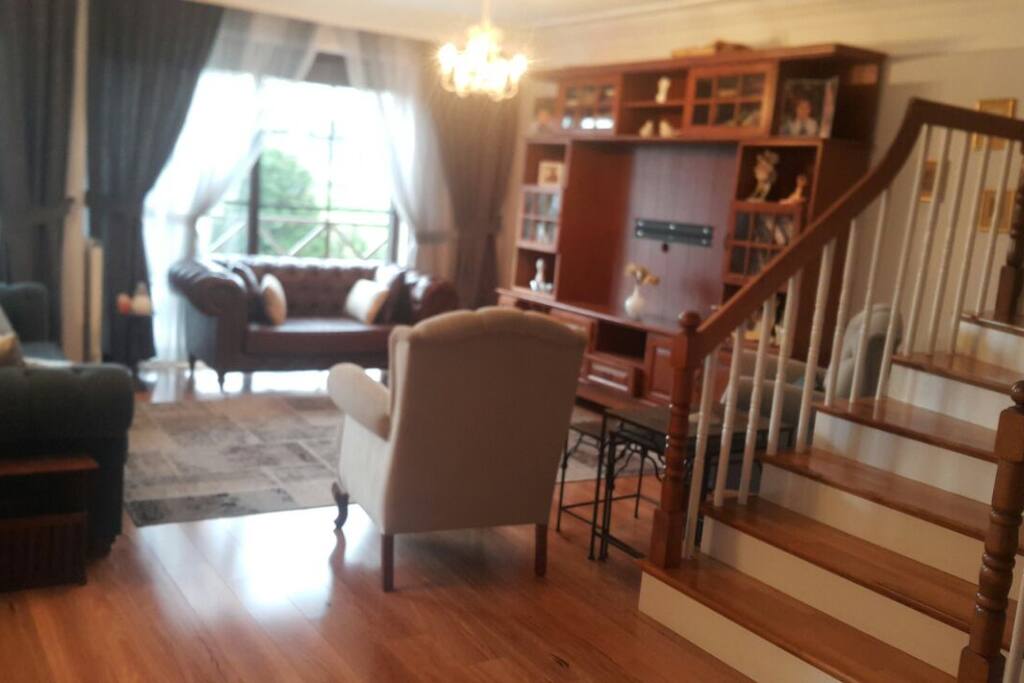 Saloon 2