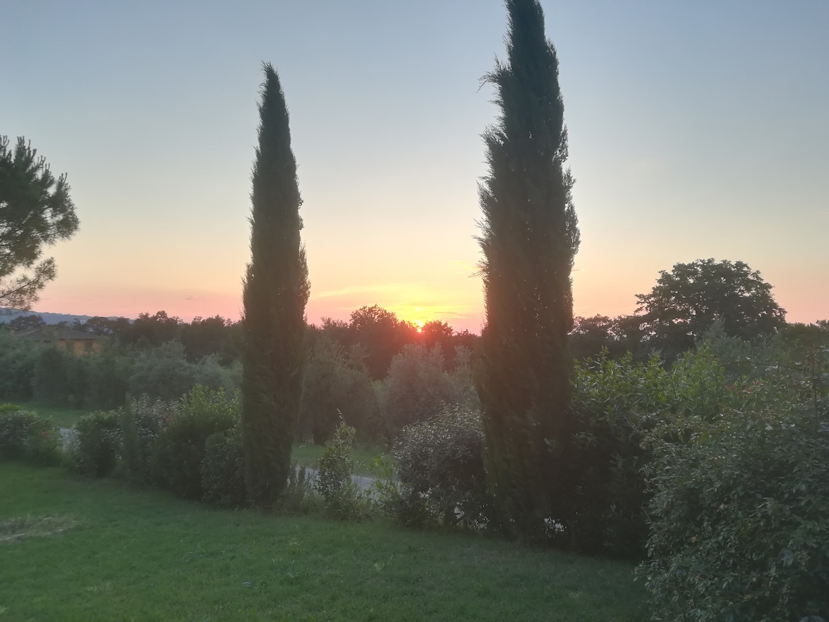A serene sunset is showcased behind tall, slender cypress trees. The warm hues of orange and pink blend into the evening sky, while lush greenery surrounds the scene, contributing to a peaceful atmosphere in the countryside.