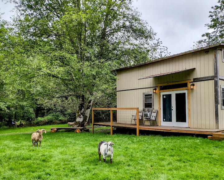 Mossyrock Vacation Rentals & Homes Washington, United States Airbnb