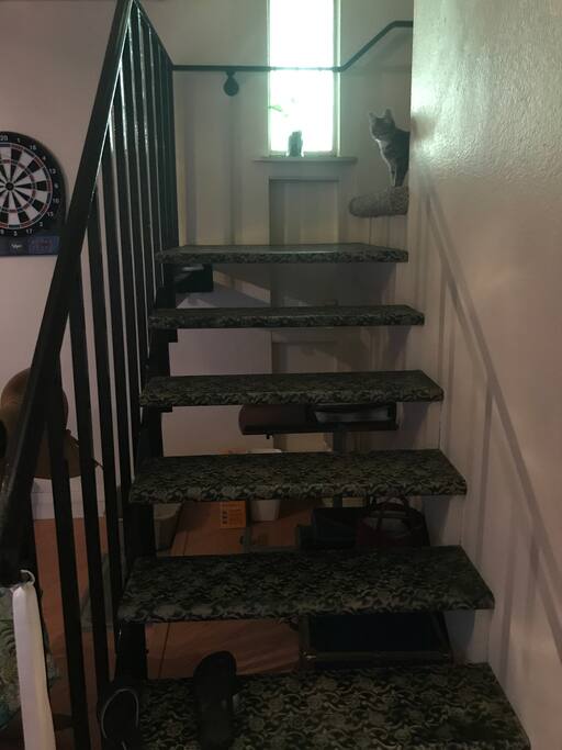 The living quarters are upstairs.