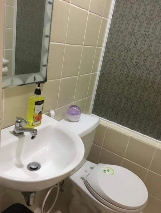 Toilet w/ bidet, hand soap & tissue