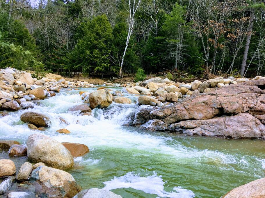 private swimming hole on the Rocky Branch (10 min walk).
