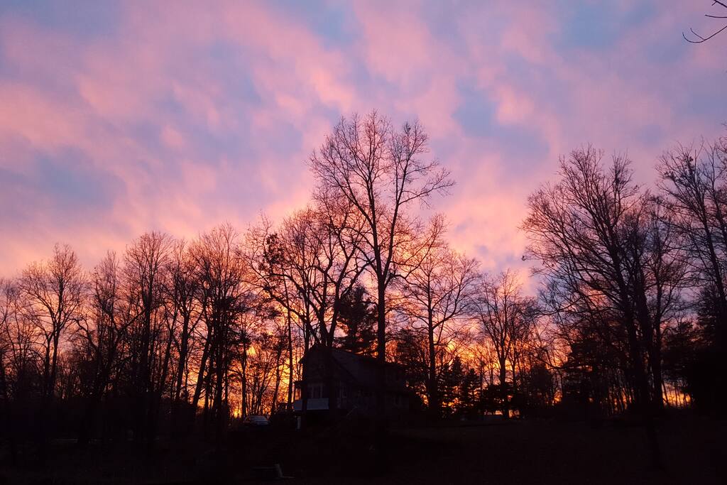 backyard sunset