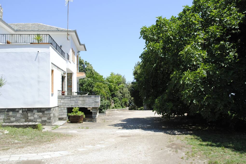 The yard