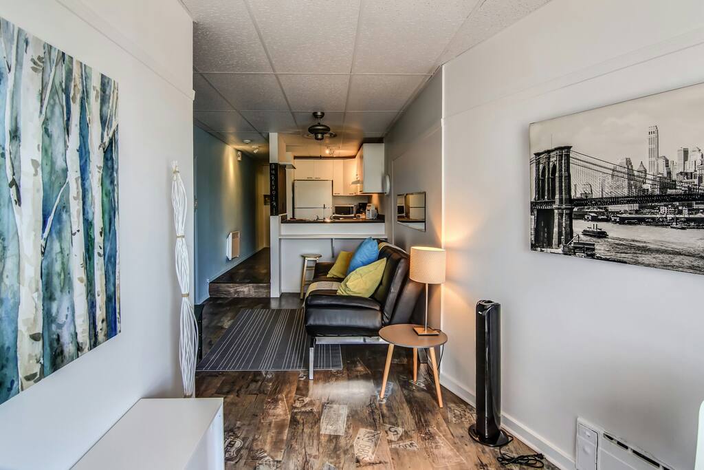 Bienvenue au Studio Urbania! Au salon, le grand divan de cuir peut être transformé en lit double pour vos jeunes enfants ou invités.
