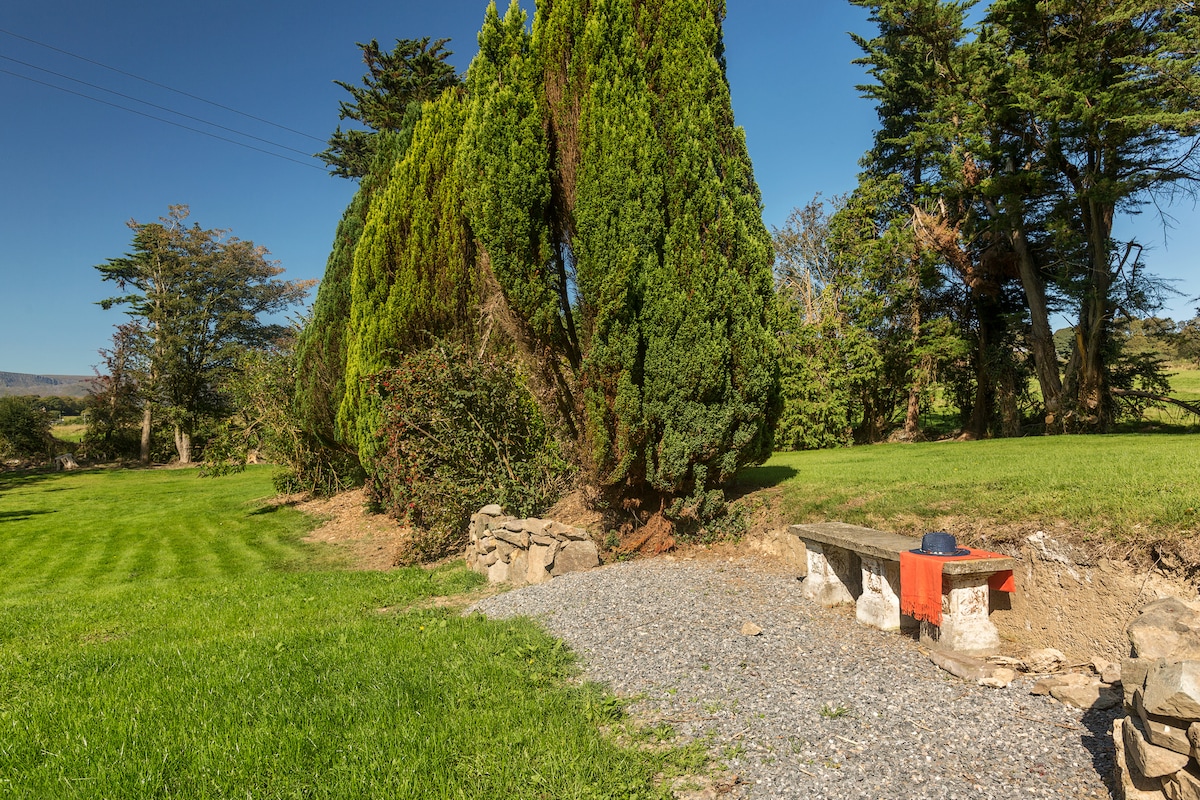 Site of Cas. — Kilmacthomas