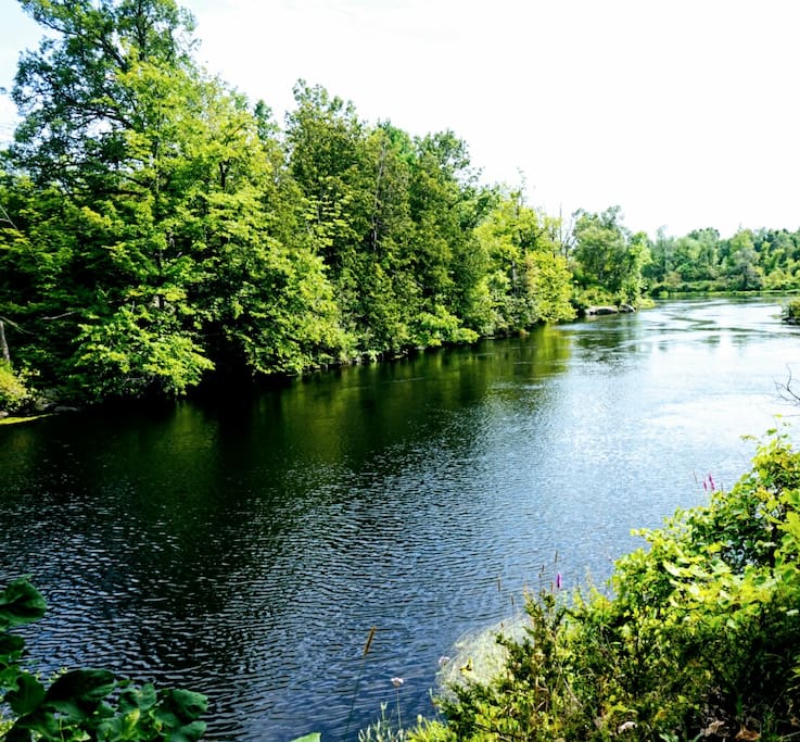 Gananoque River: Perfect for kayaking 1 block away.