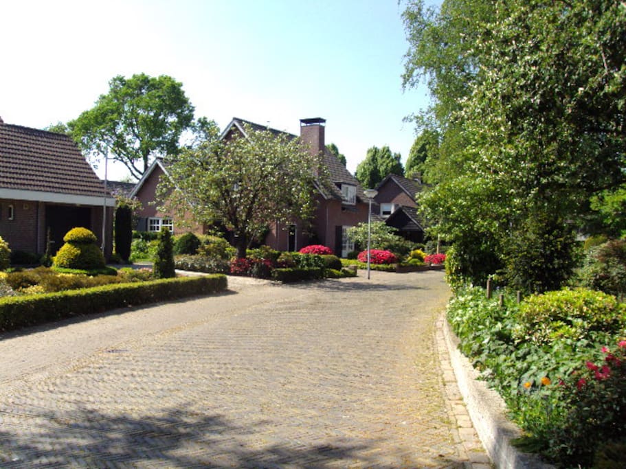 Onze straat met vooral fietsers en voetgangers