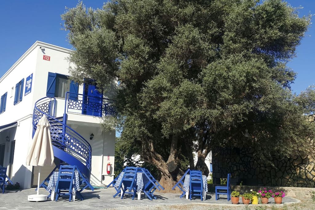 Our garden and family cafeteria
