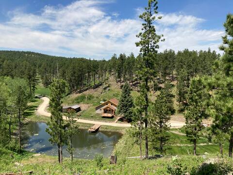 Cozy Christmas Cabin w/ horses, goats, mini donkey