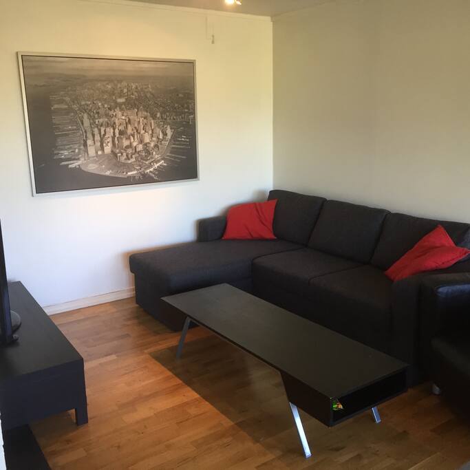 Living room, sofa bed for 2 people