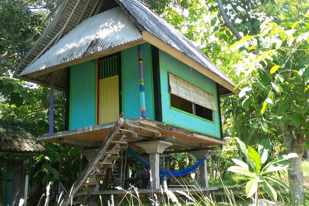 The treehous with natural garden.....
