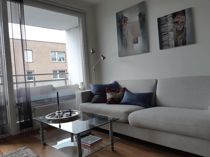 Leilighet Sentralt I Oslo - Oslo