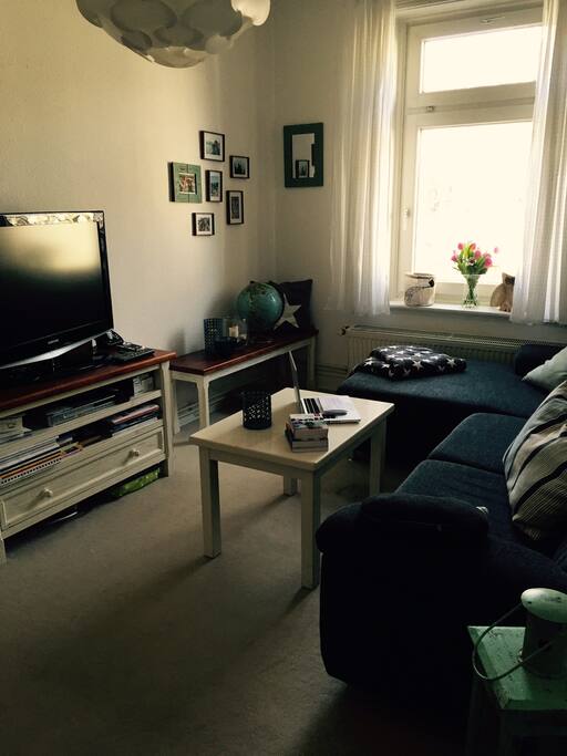 gemütliches Wohnzimmer mit Flachbild-TV, großer Couch und Büchersammlung