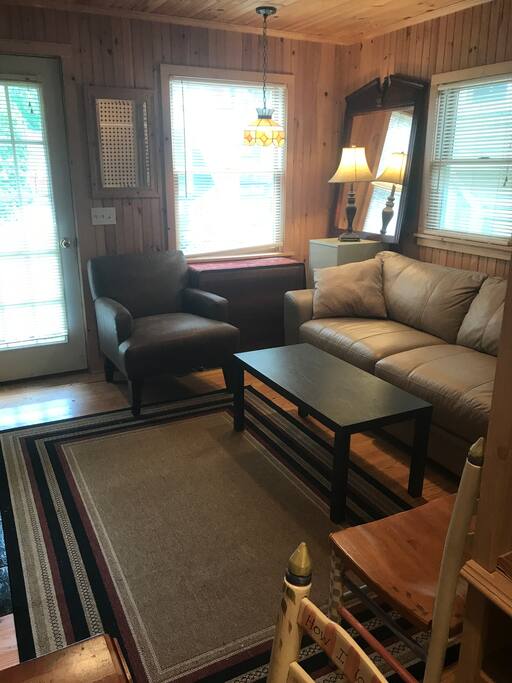 Living area with high quality full size sofa sleeper.