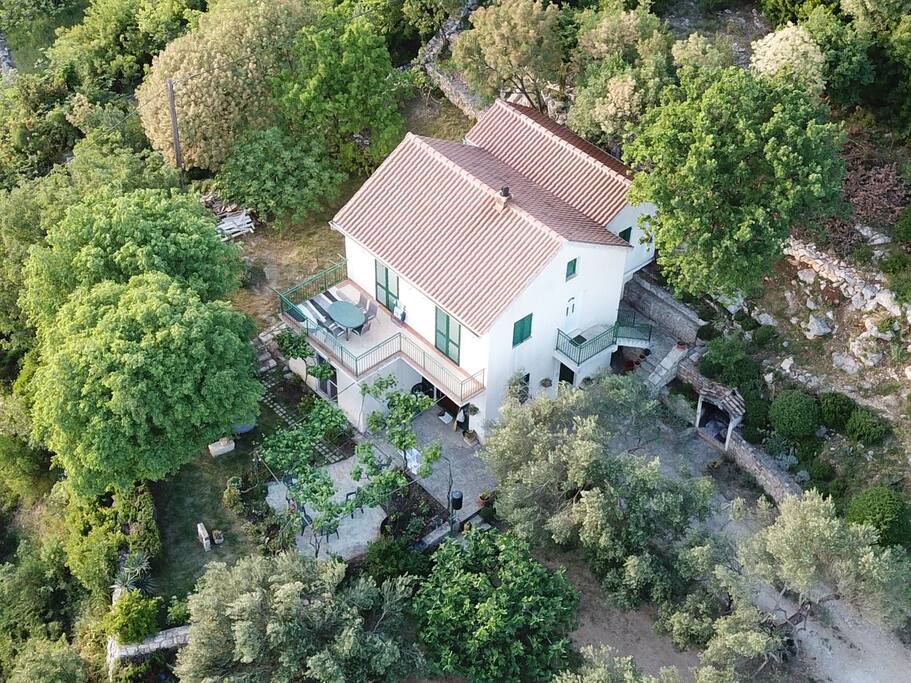 Mala Maslenica Estate