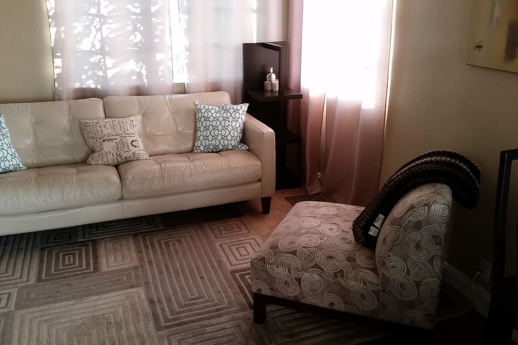 Living Room (comfy couch that's big enough to sleep on)
