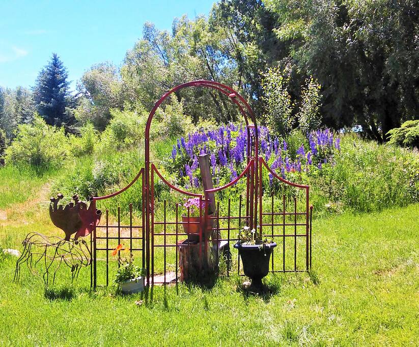 Tranquil garden outside studio