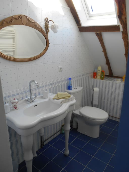 salle de bain avec toilette