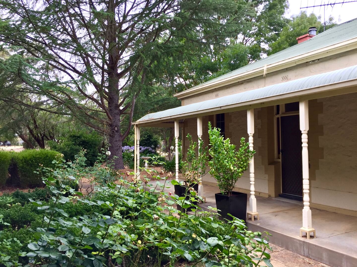 Linfield Cottage