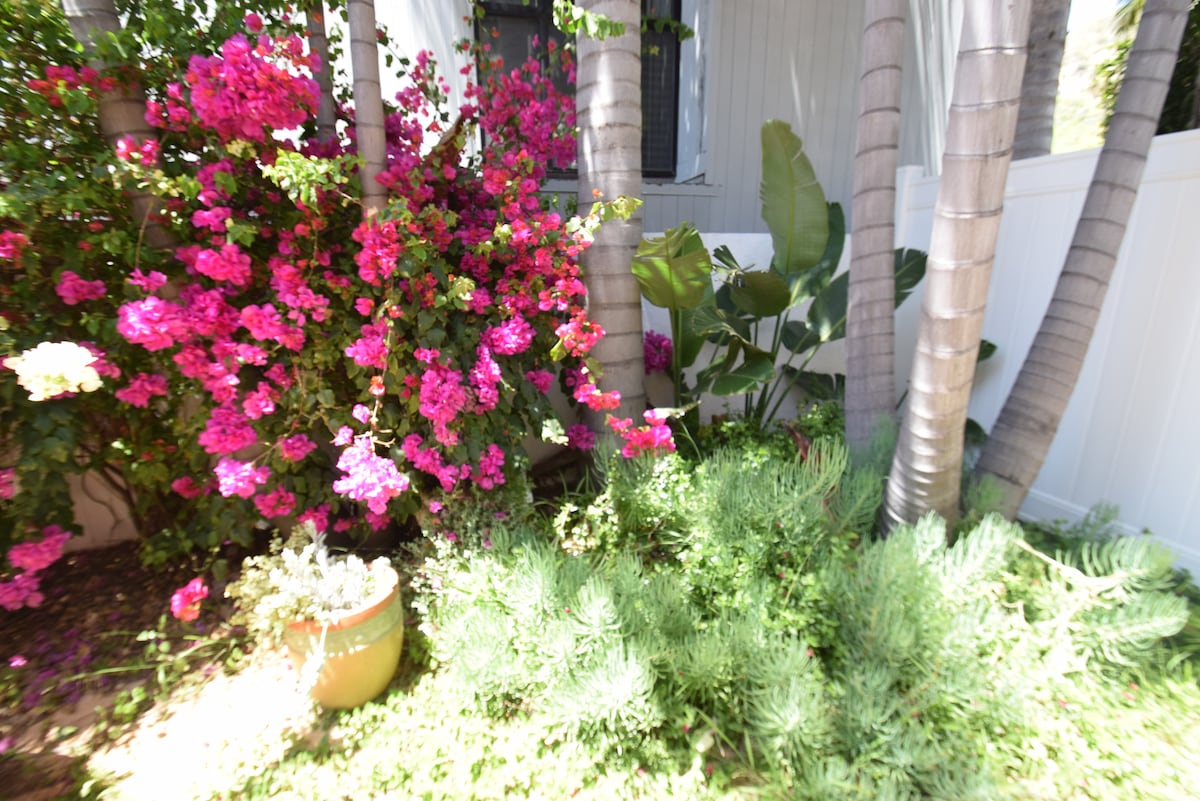 Malibu Canyon Studio — view 3