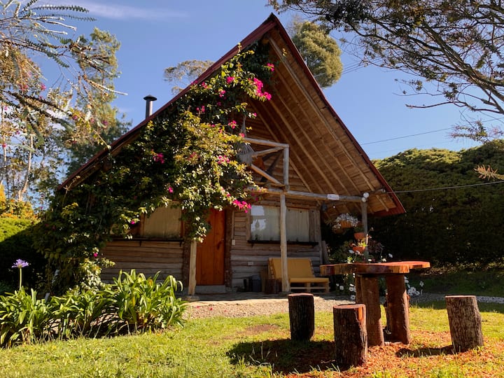 Chalet Boutique Saltamontes Santa Elena Cabins for Rent in Medellín, Antioquia, Colombia Airbnb