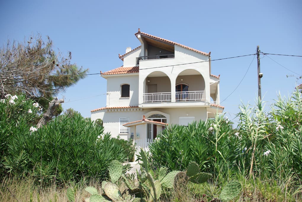 Our summer house