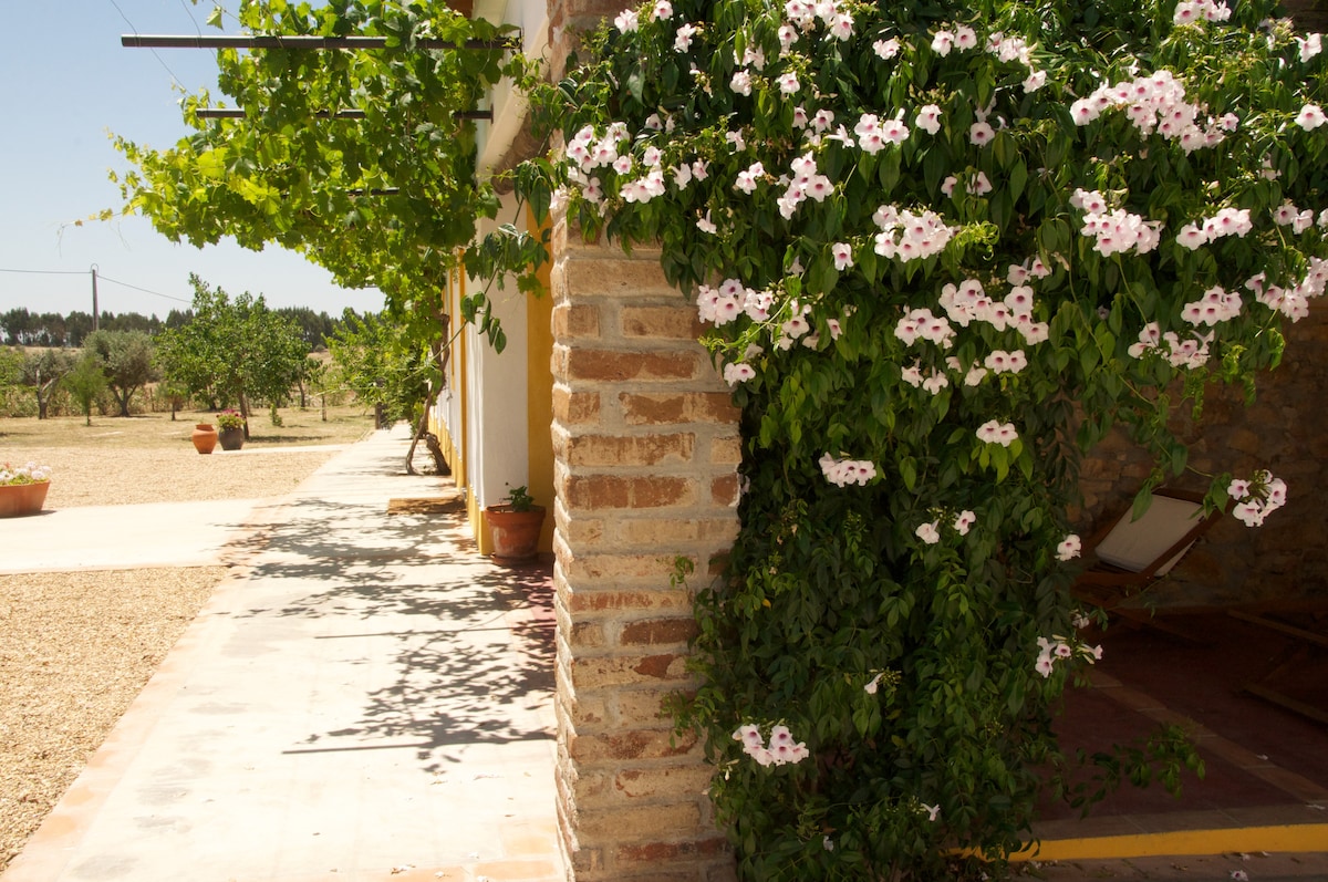 A brick column is adorned with lush, flowering vines, providing a vibrant contrast to the stucco wall. A clear pathway leads along the structure, bordered by verdant greenery and potted plants. The expansive landscape is visible in the background, enhancing the serene outdoor environment.