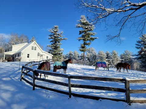 Serene 1-br suite on 75 acre horse property
