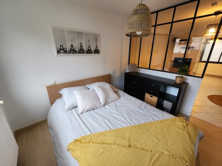Saint Félix T 1 Bis Indépendant - Nantes