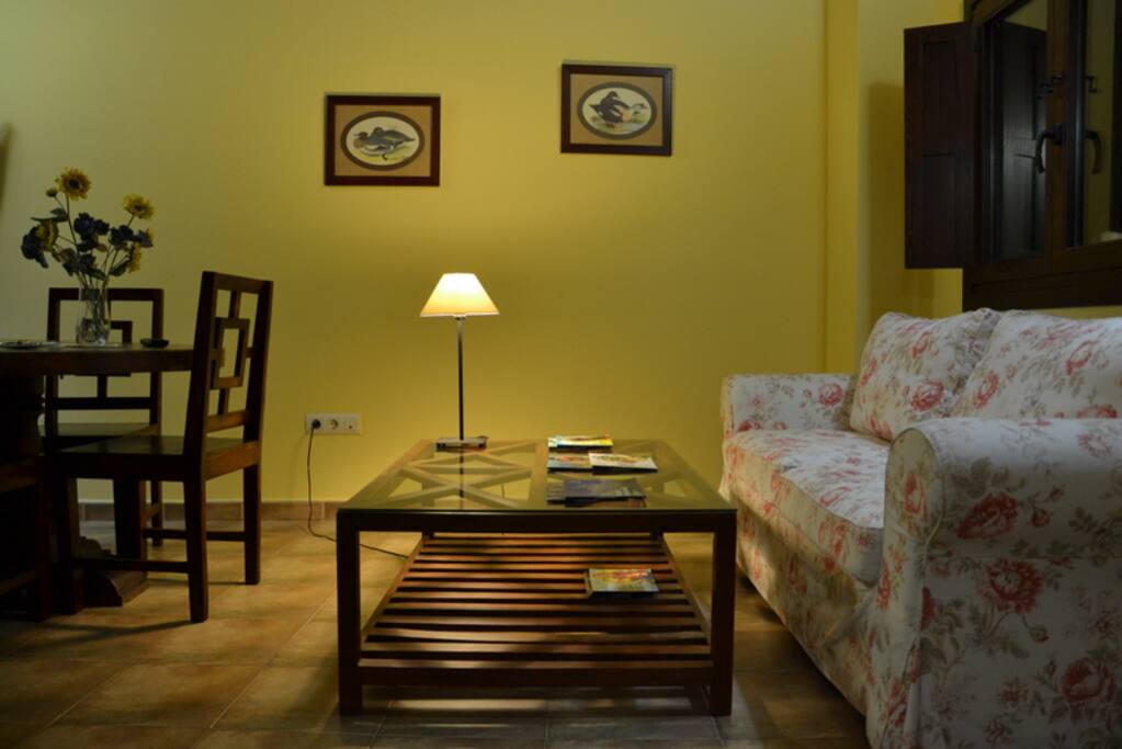 Zona de estar y comedor