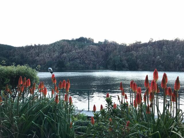 Casa do Pombal gallery image 5