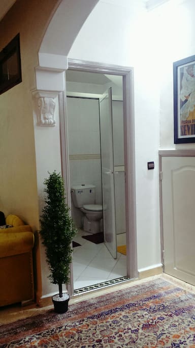 Wc européen