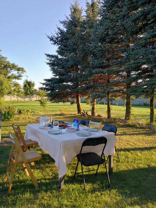Dinning in the garden