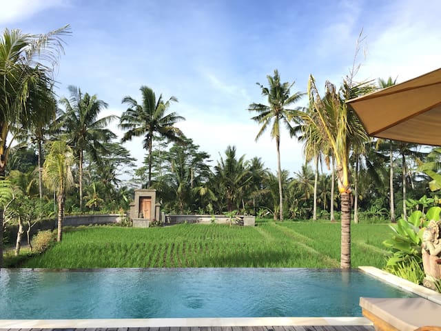 Mars River Safari Lodge managed Airbnb listing 2