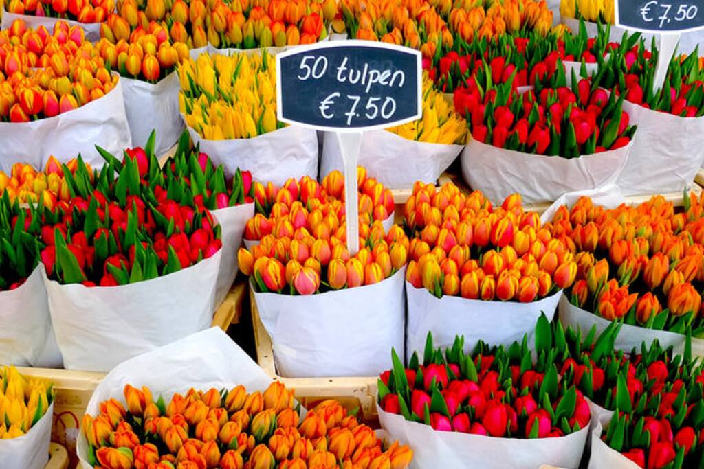 Albert Cuyp market