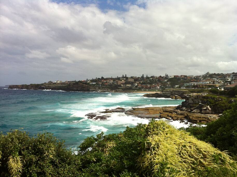 The view from the backyard!