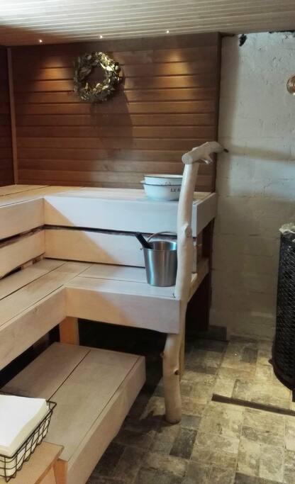 BasementSauna
