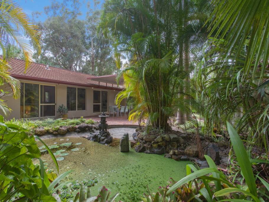 pond feature