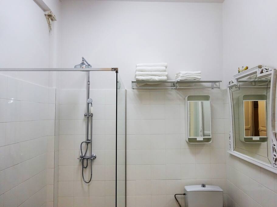 Servicios : Spa con ducha. Lavabo y w.c.