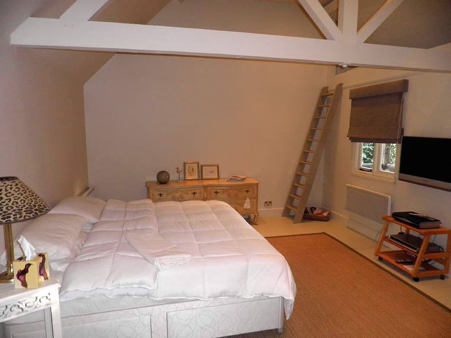 Inside the Garden Cabin