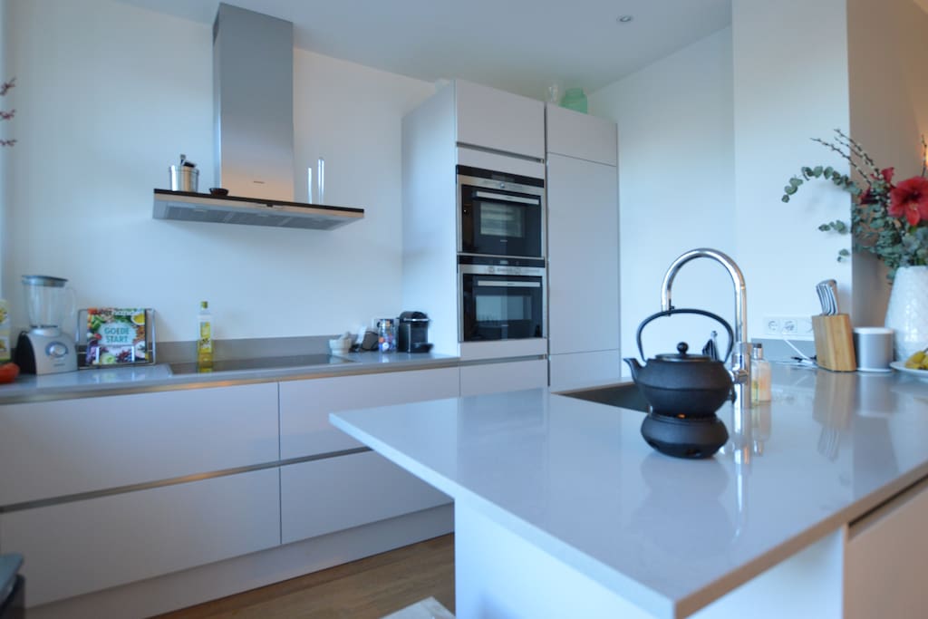 The modern kitchen