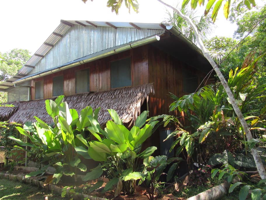 3,000+ sq ft Guest House w/ 4 bedrooms(3 private & 1 shared), 2 Tiled Bathrooms w/ Showers, 2 living rooms, 1 kitchen with water filtration, 1 dining area for 10, 1 creative space for artistic creation, & 4 hammocks. All rooms with garden view & solar electricity.