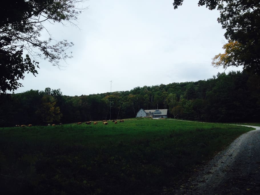 Spoon Mountain House in the Summer