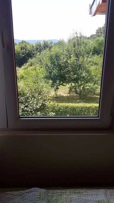 view from the window in the bedroom