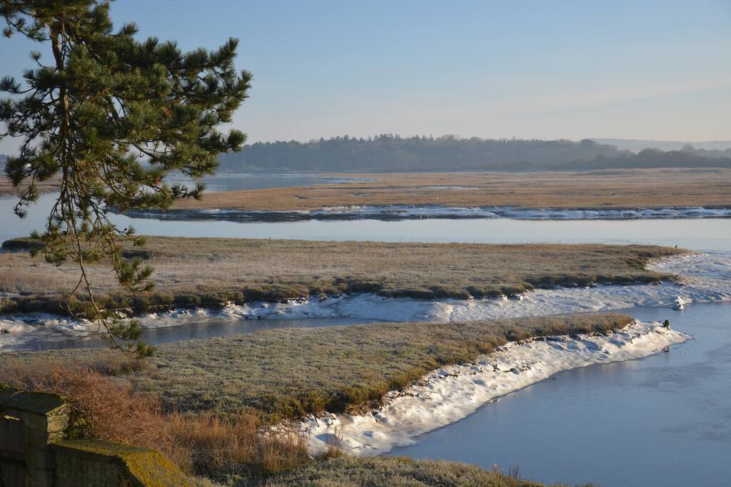 The Estuary in winter