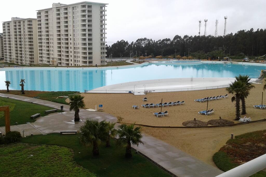 Piscina y playa con palmeras