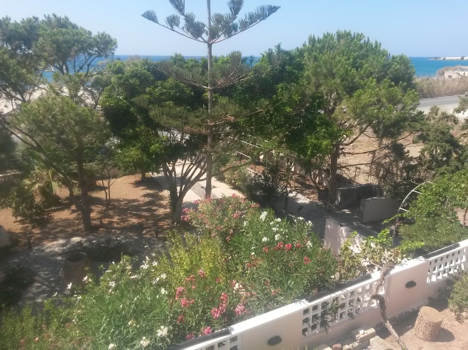 Κήπος